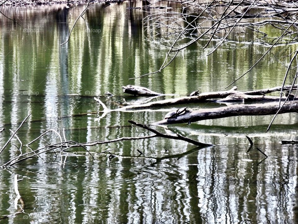 Beautiful reflection on the lake in Indiana 