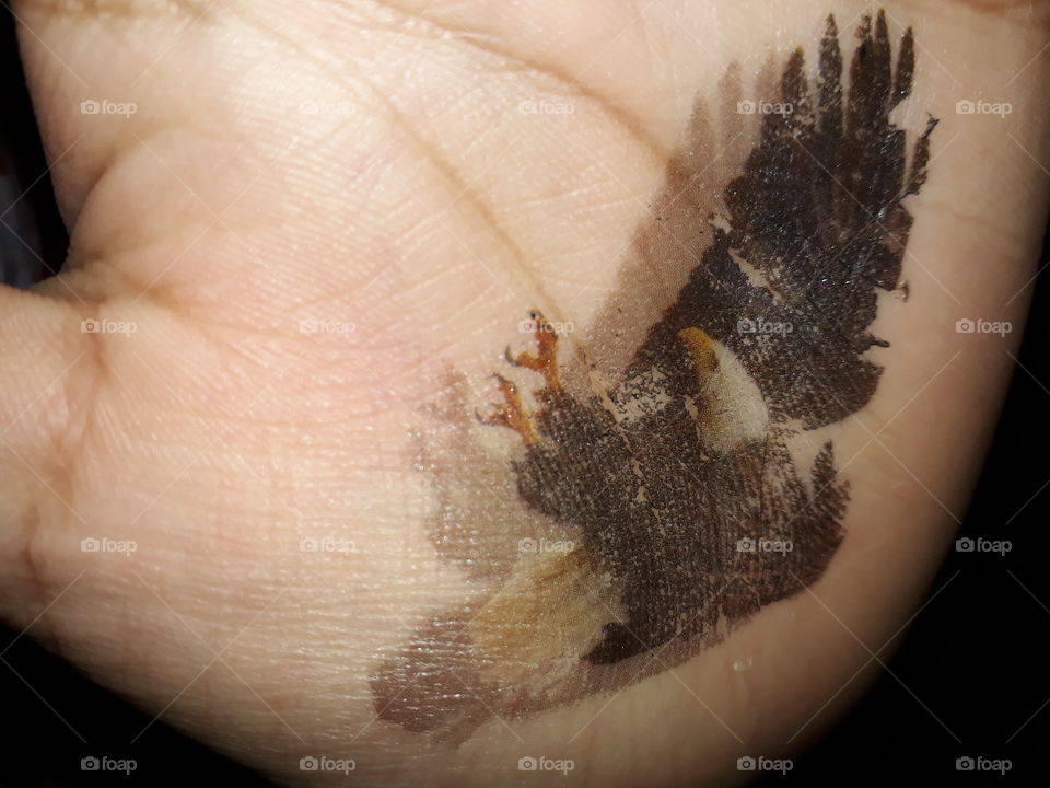 tatoo of an eagle