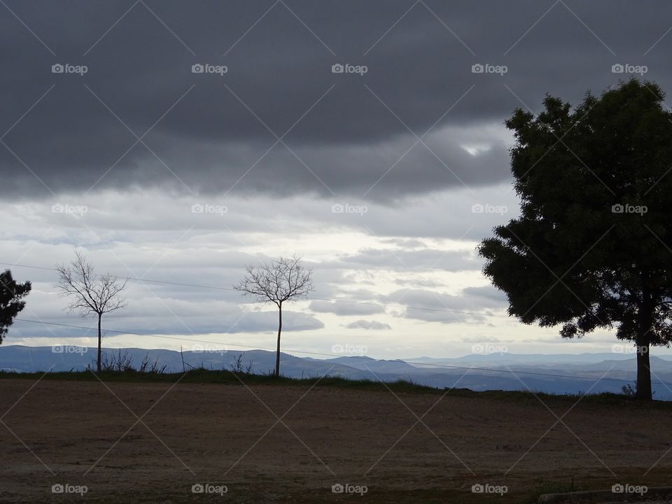 Cloudy blue landscape with trees without leafs 