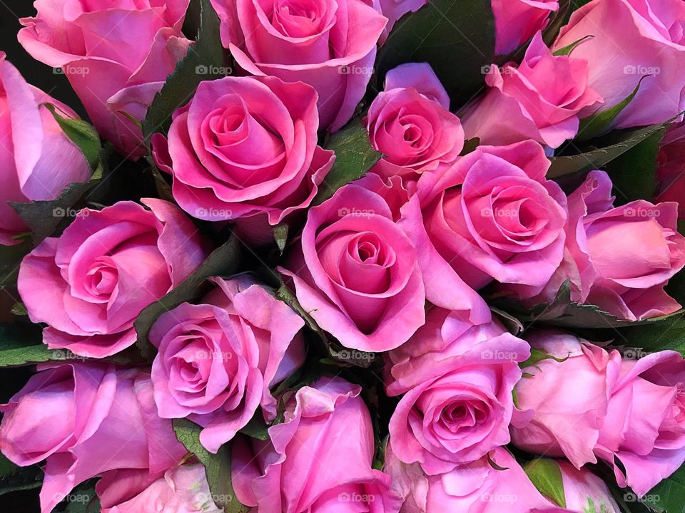 Lovely pink rose bouquet 