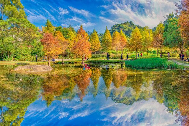Beautiful mountain and forest scenery