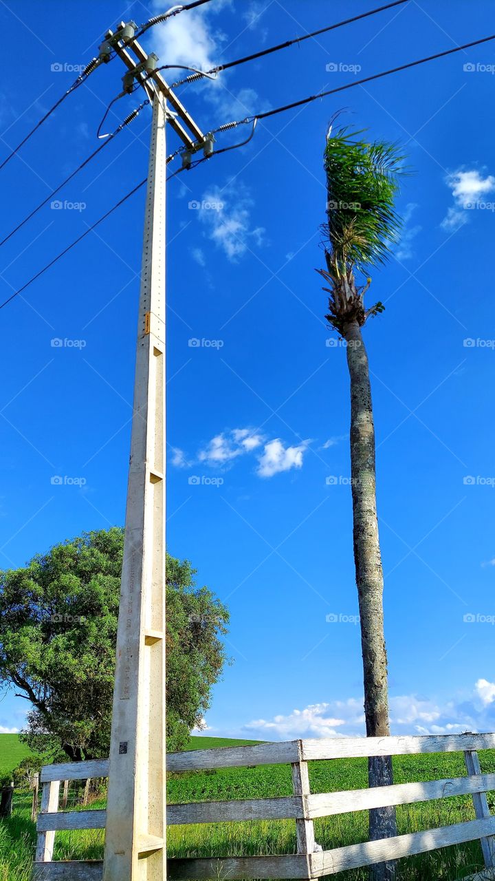Beleza está no contraste das cores, no que é natural e construído pelo homem.