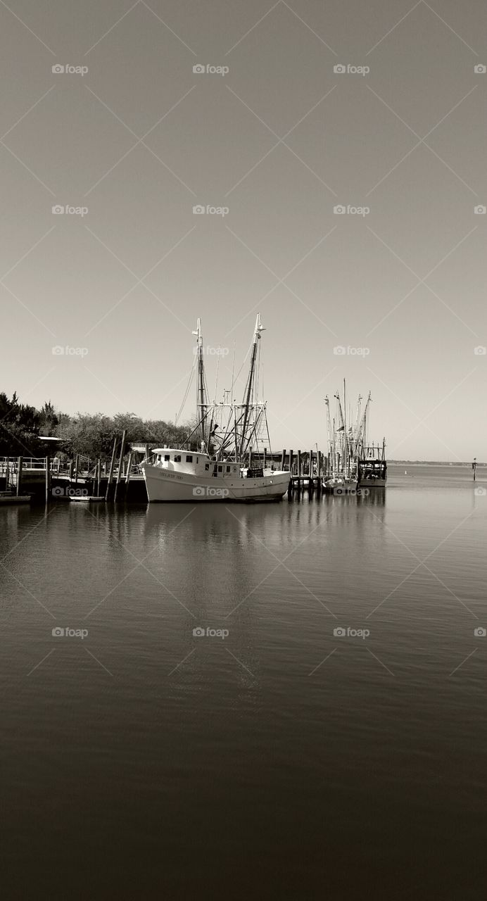 Shem creek black and white