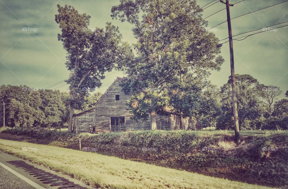Passing through Georgia and spotted an old barn hidden behind trees 