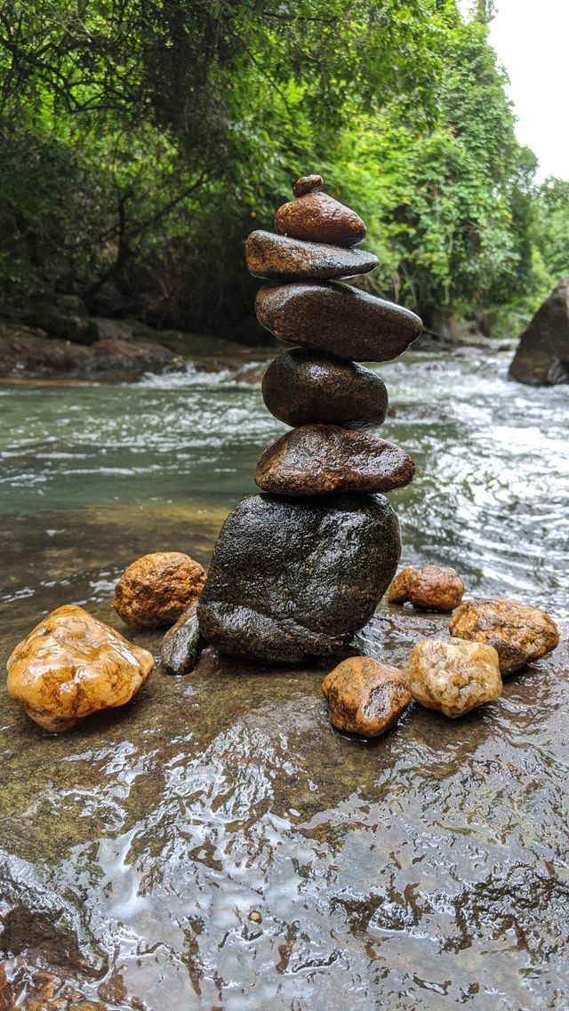 nature