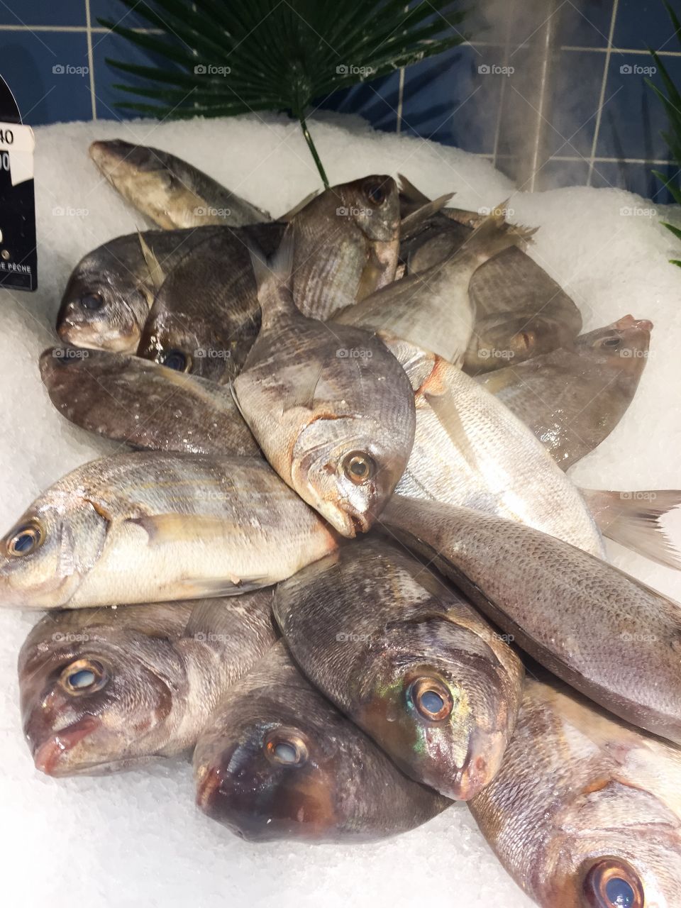 Fish at a fishmarket in Paris France.