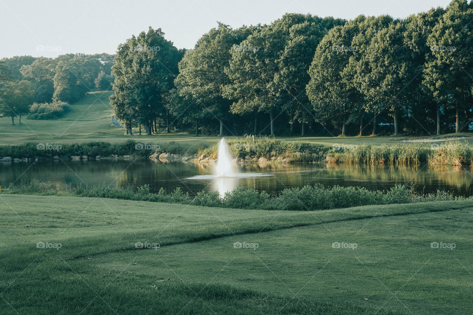 A beautifully lit landscape shot of a pond in the middle of a quiet golf course. 