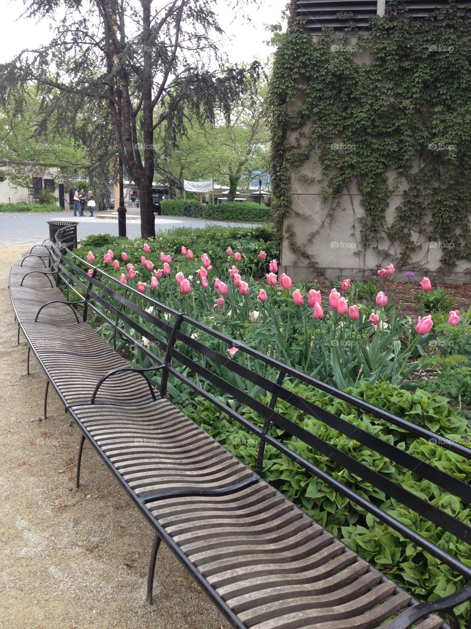 Meet me by the tulips. Spring time in Battery Park