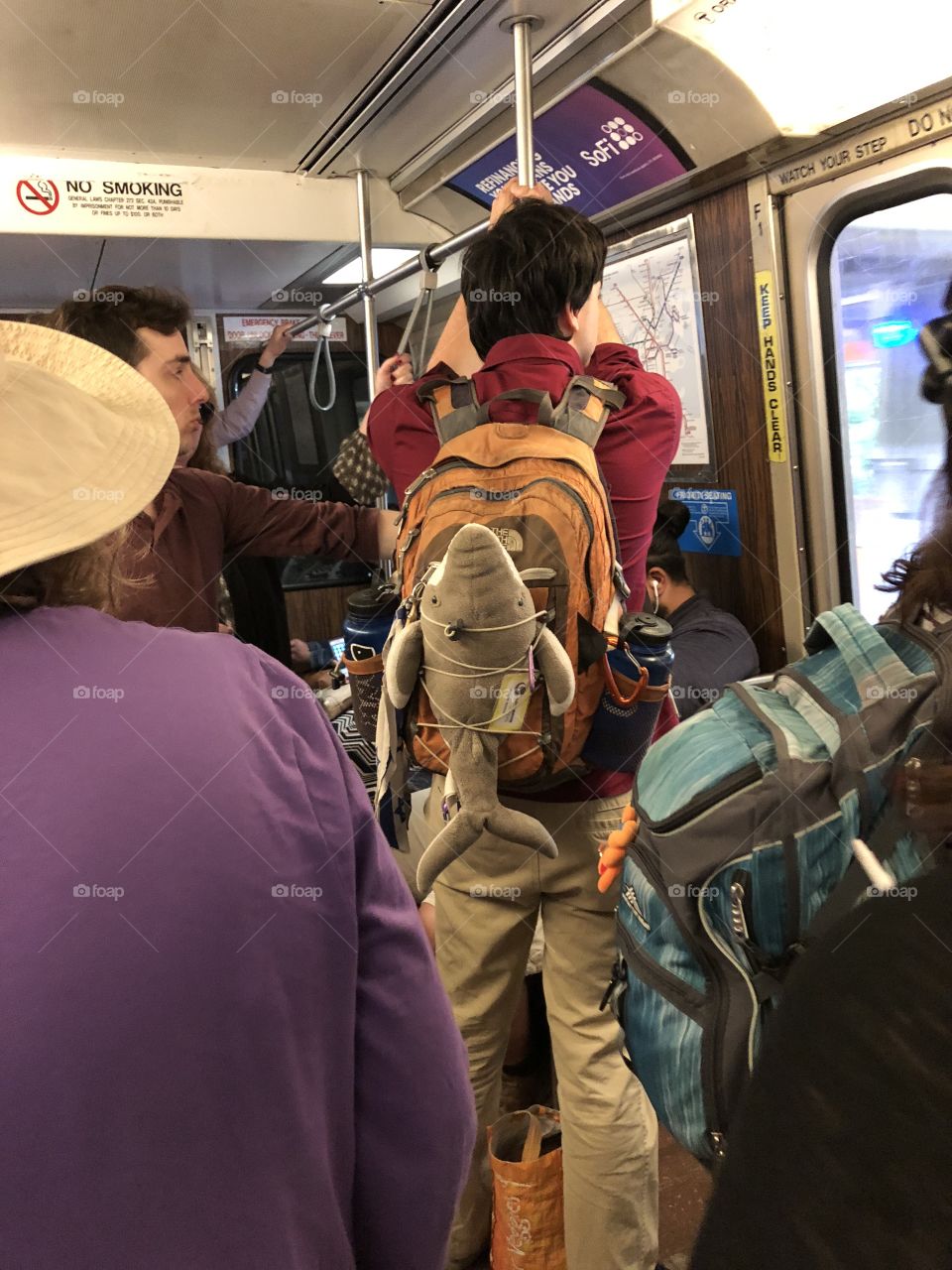 Is a zoo out there...