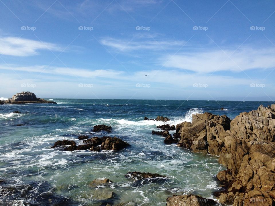 Monterey Bay Coast 