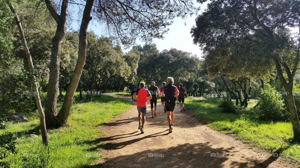 People are running in the forest in Montpellier, France.