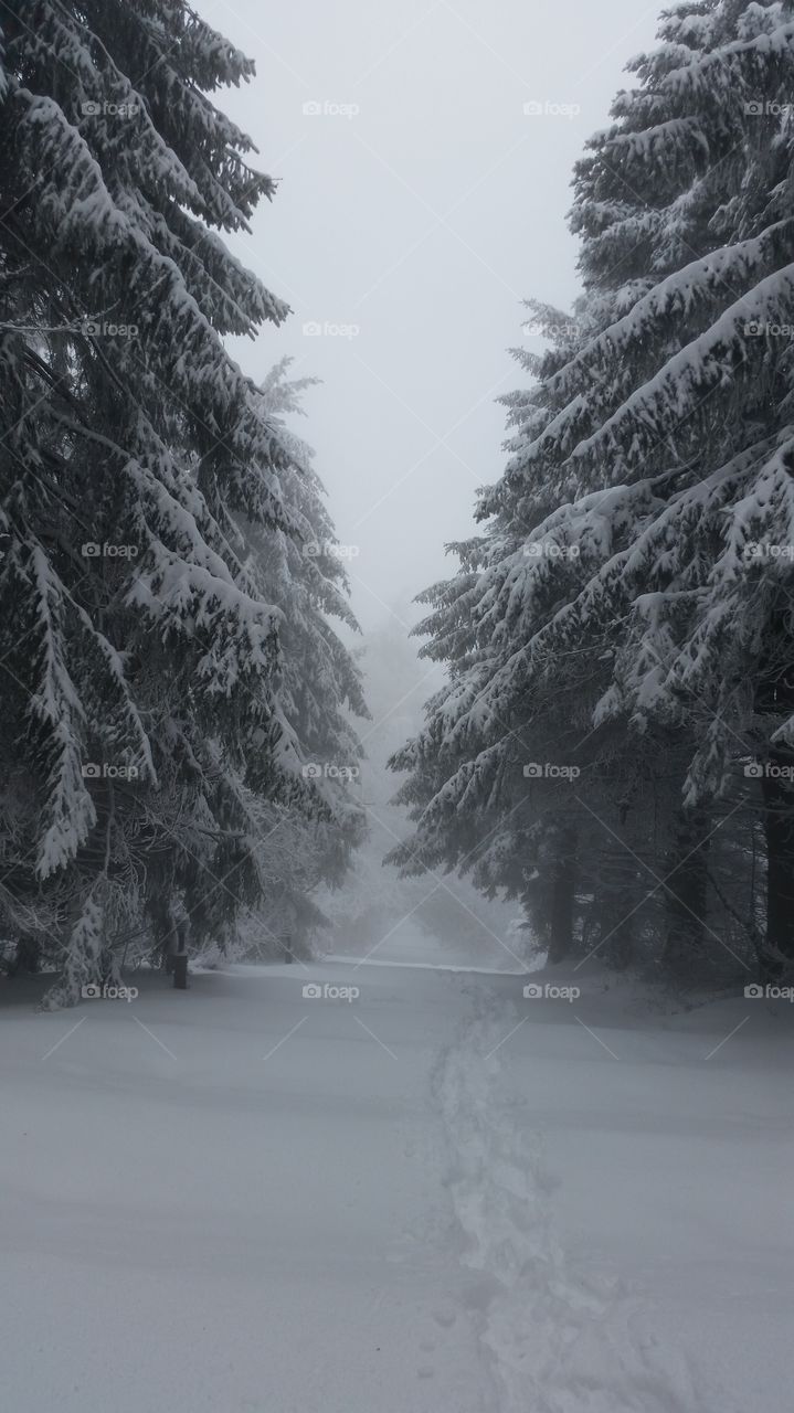black and white . our climb was 1000 steps from the snow but it was just an uphill