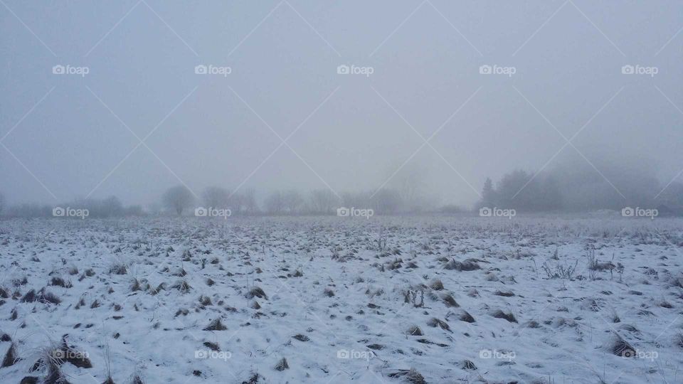Landscape of misty winter dawn