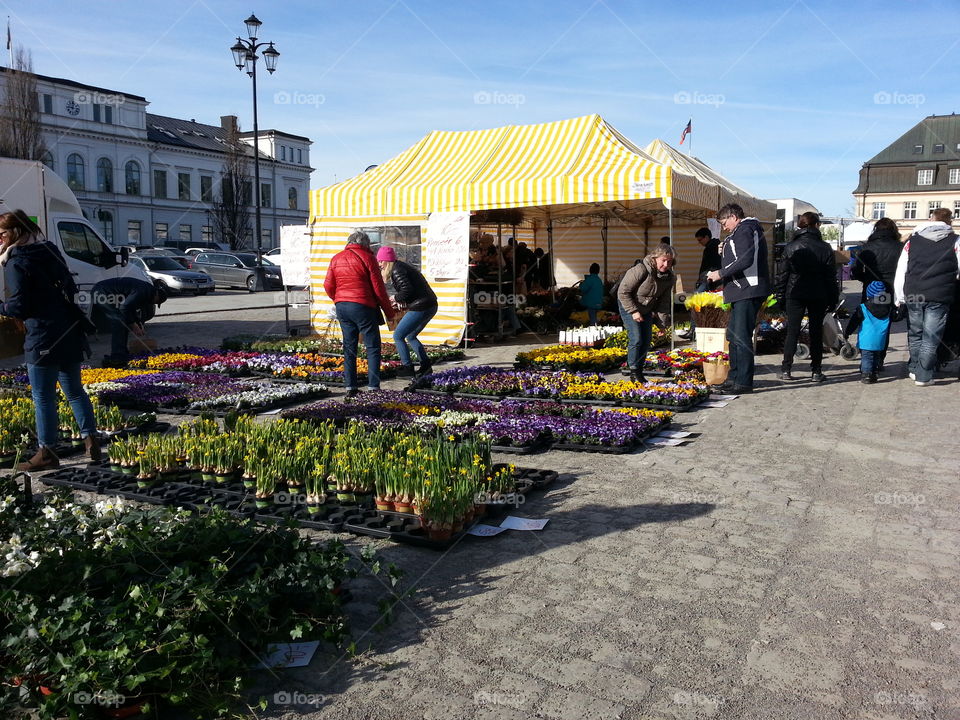 Market day
