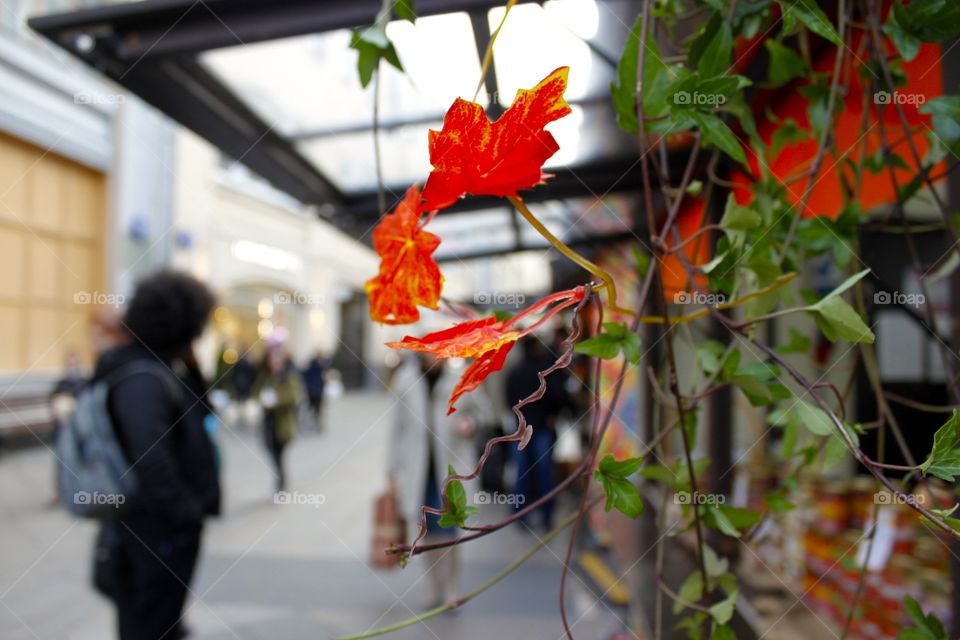 Street decorations for Autumn 