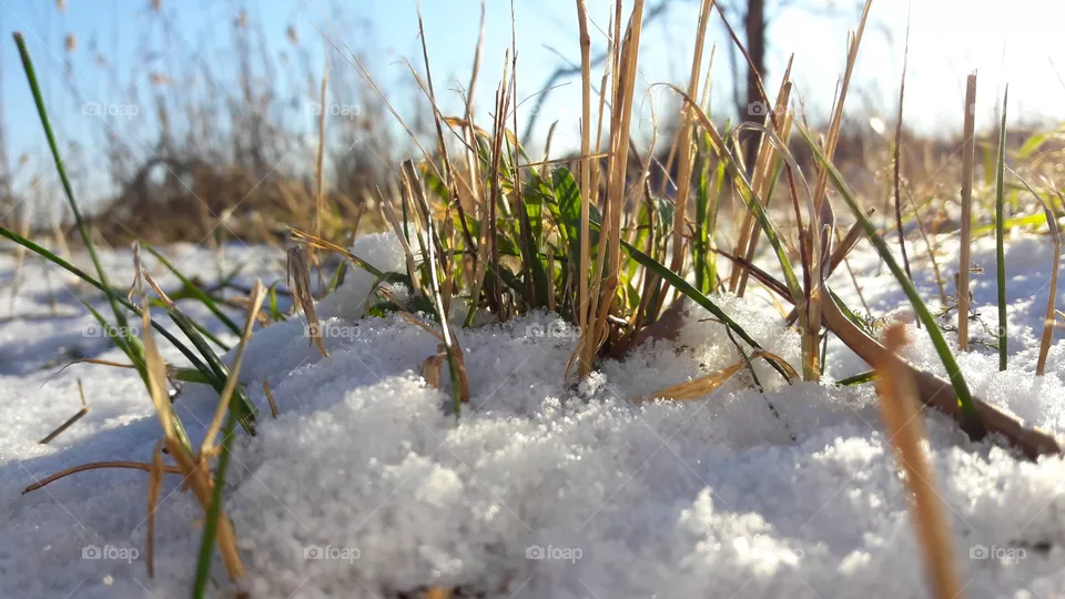 snow