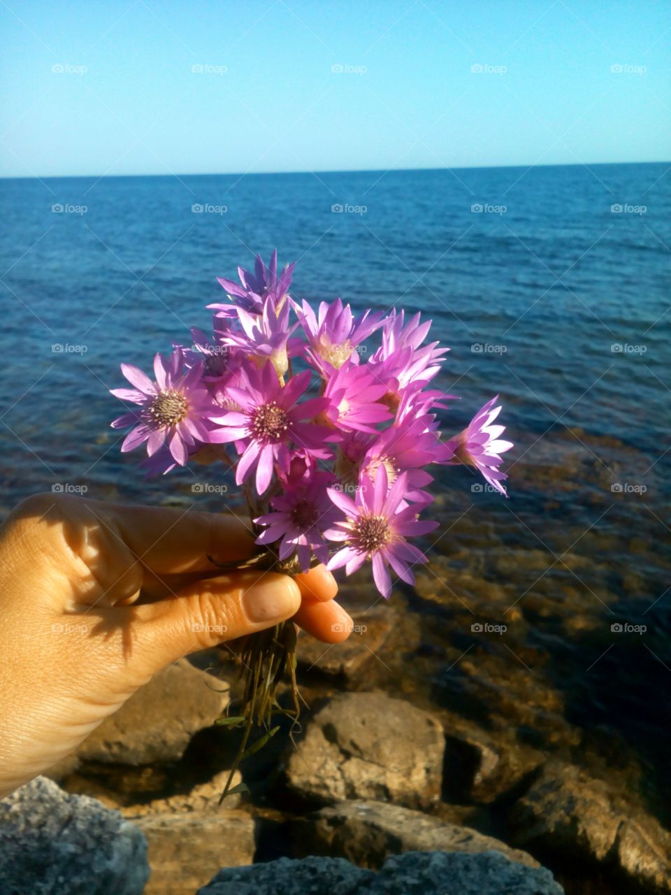 Nature, Summer, Water, No Person, Beach