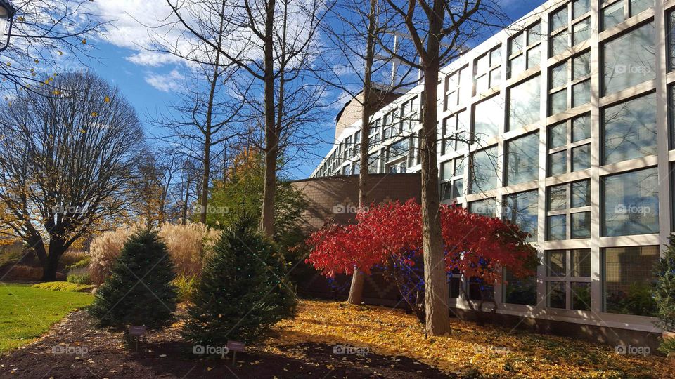 Franklin Park Conservatory