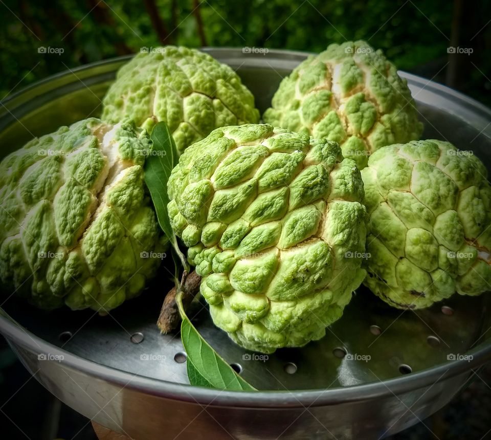 custard Apple