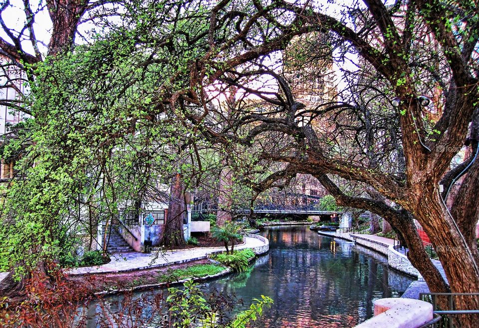 Riverwalk 