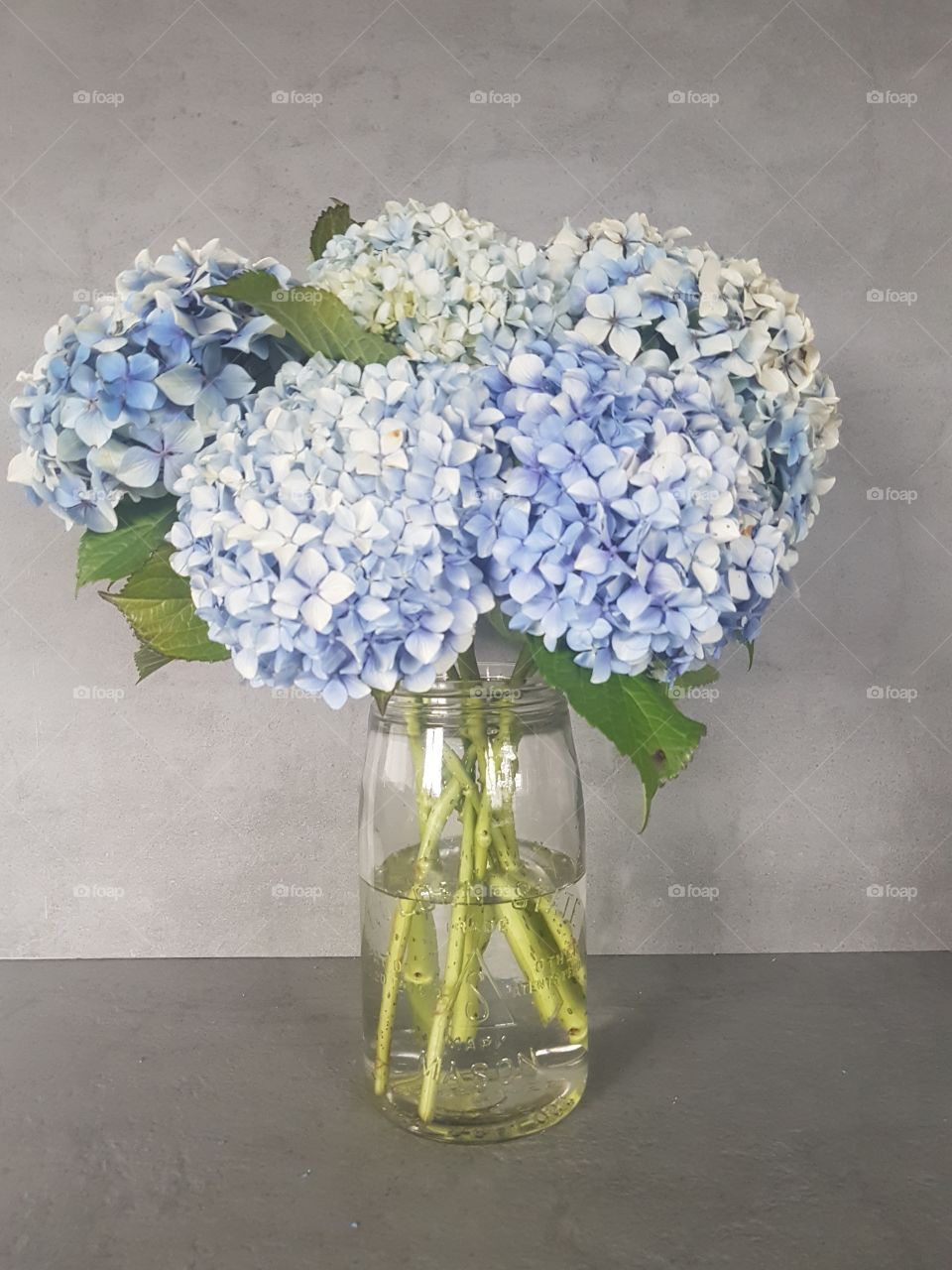 Hydrangea Flower arrangement in jar