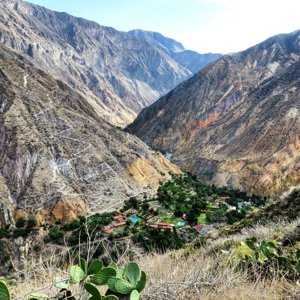 Colca Canyon Oasis