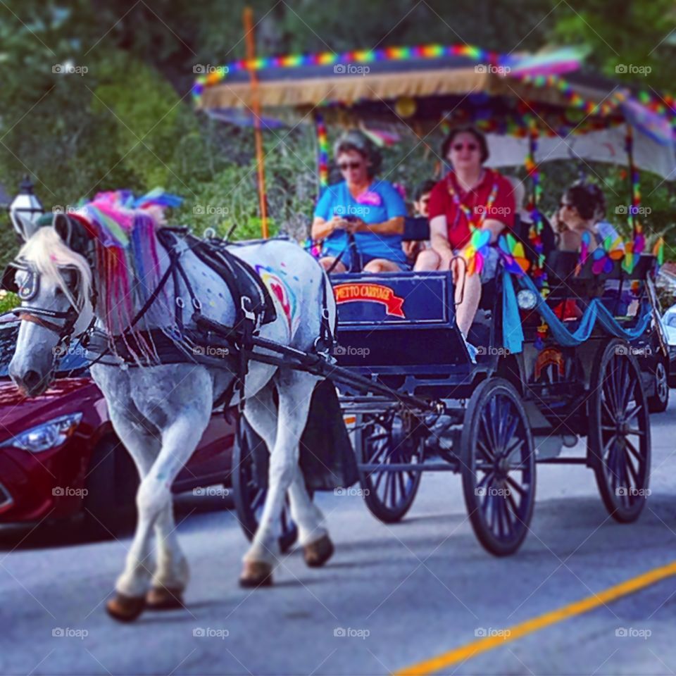 Carriage pulled by horse during pride parade in Charleston, SC