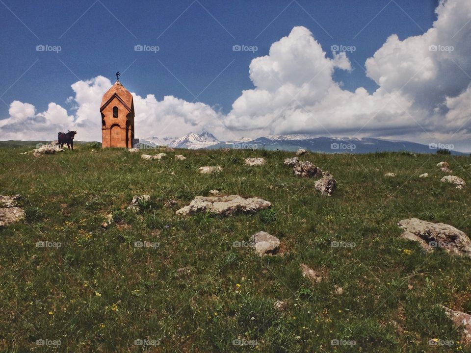 Holly cow. . This in Armenia. We've been driving by some village when I saw that small church on a hill. I've asked the driver to stop for the picture. When I went to that hill I found a cow which was grazing near by. I think it brings even more meaning to this picture. 