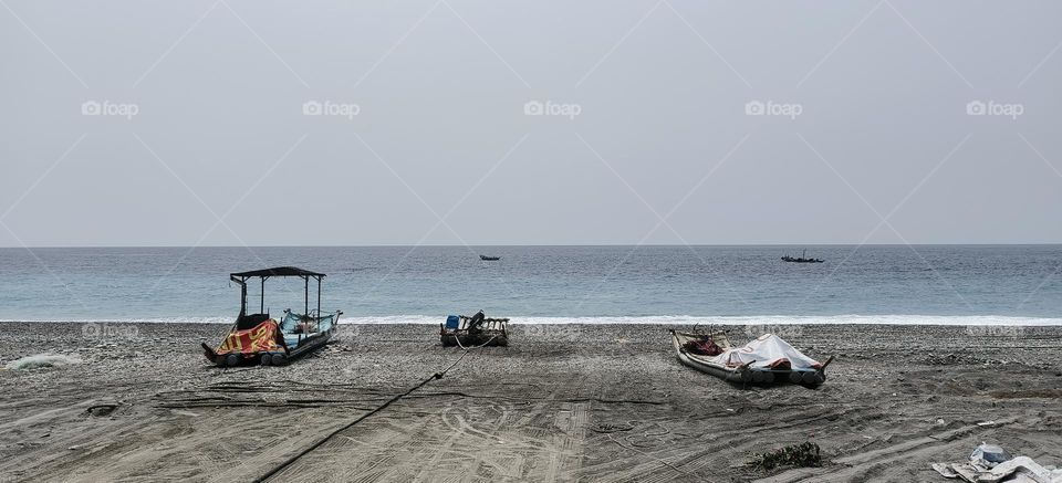 Sea seekers are going to sea