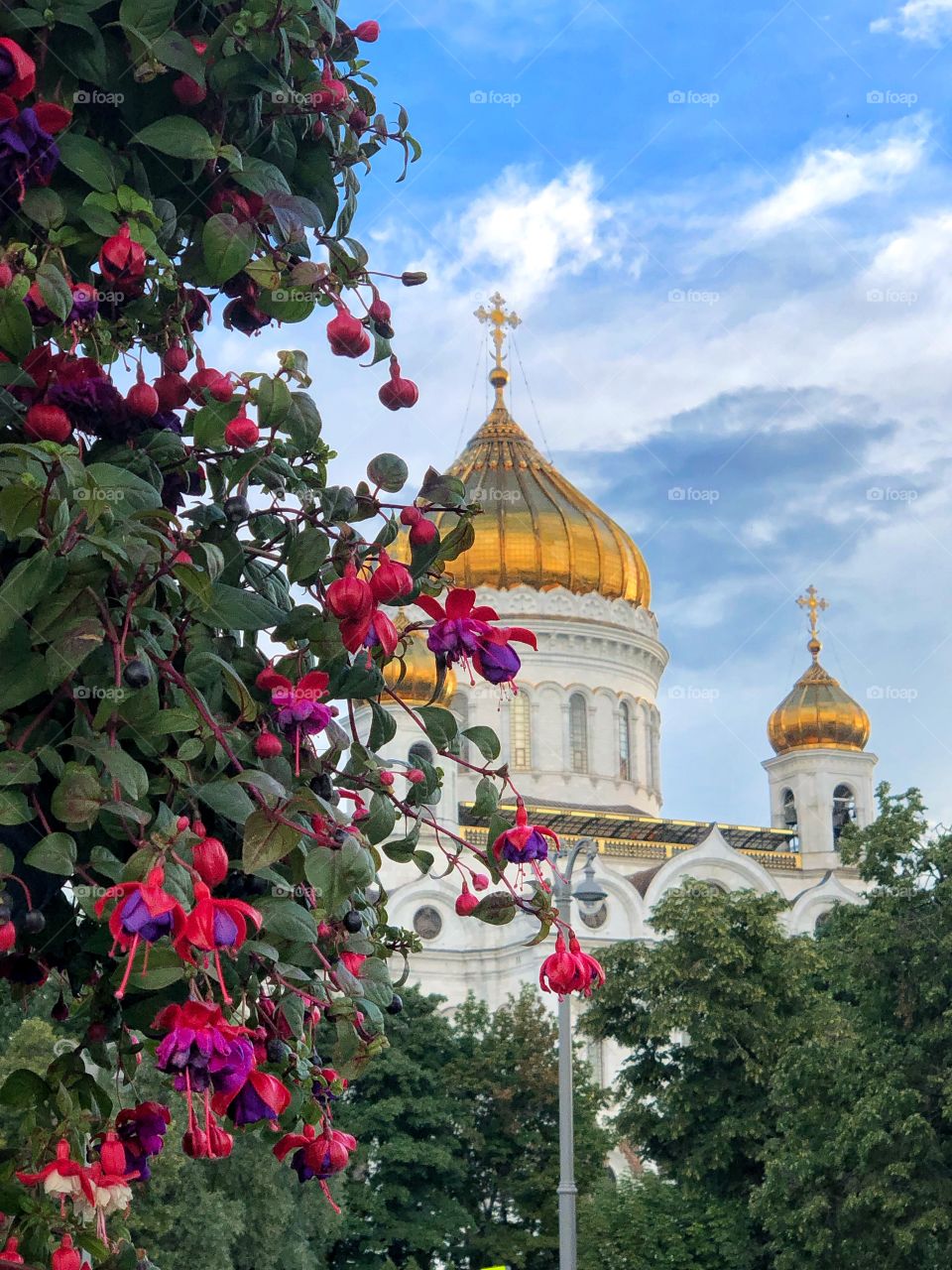 View of the temple behind the flowers