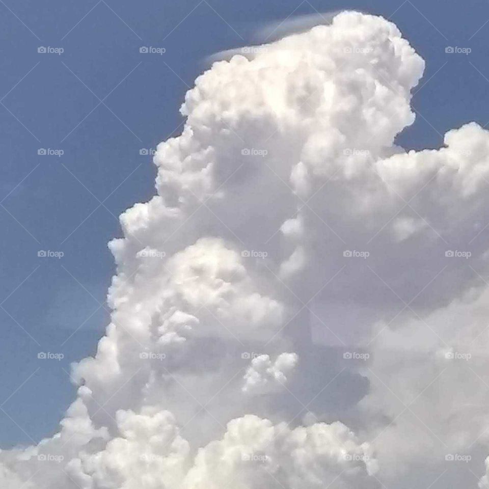 A cloud with a Panda shape in the middle
