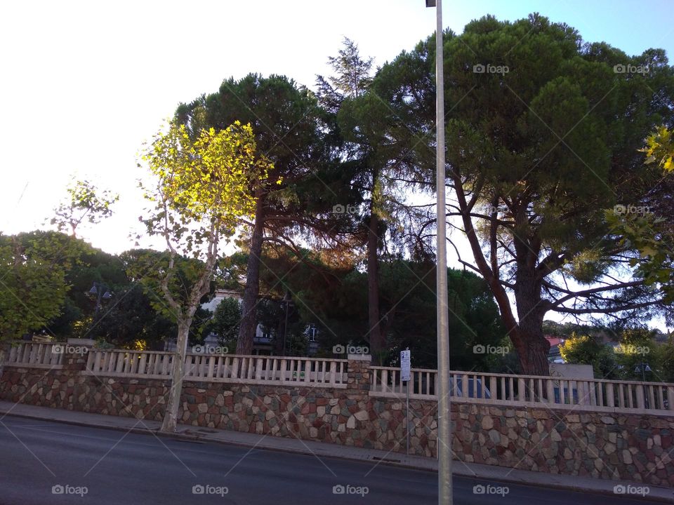 Best of 2021: Nature