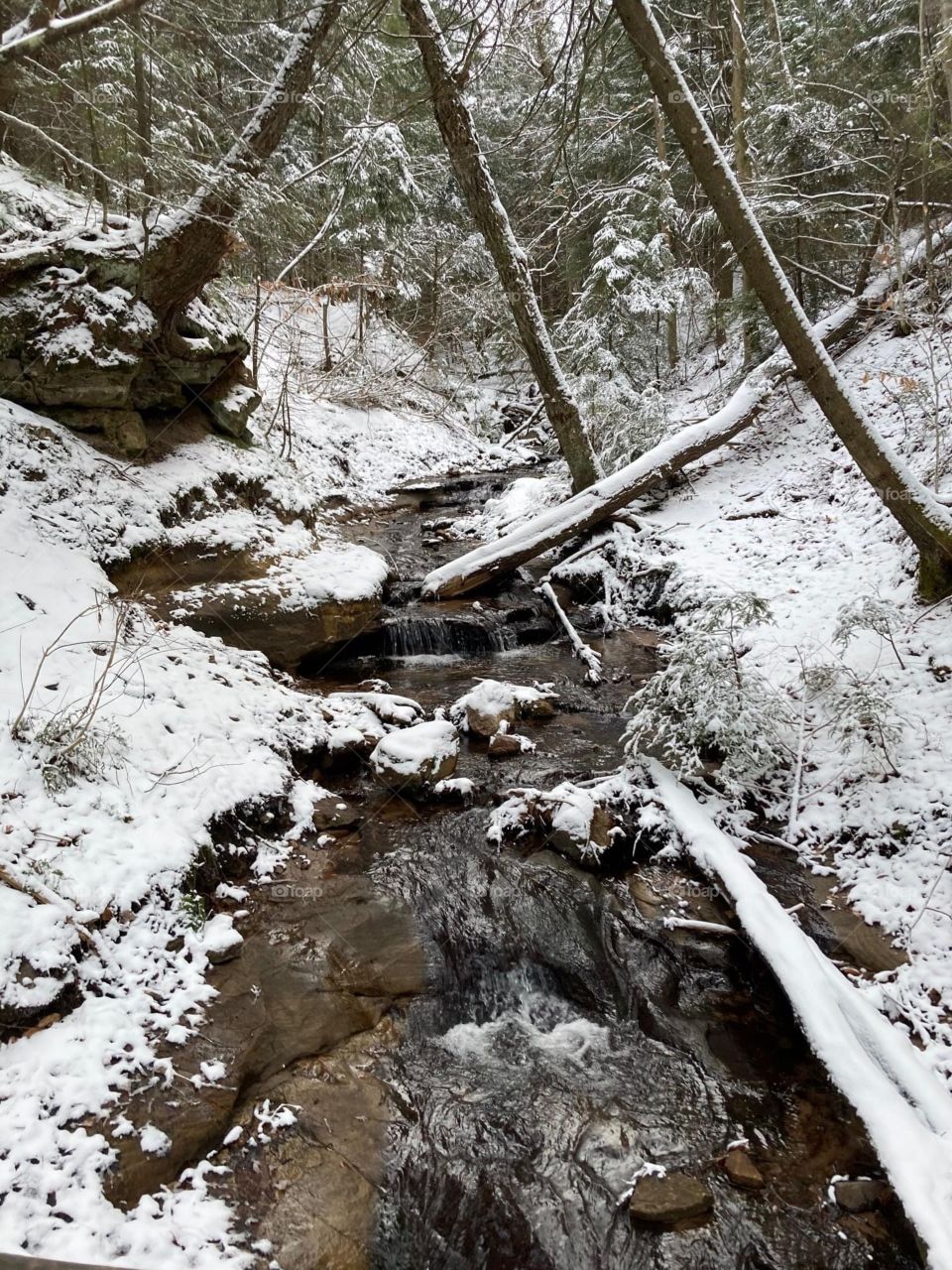 A stream in the winter