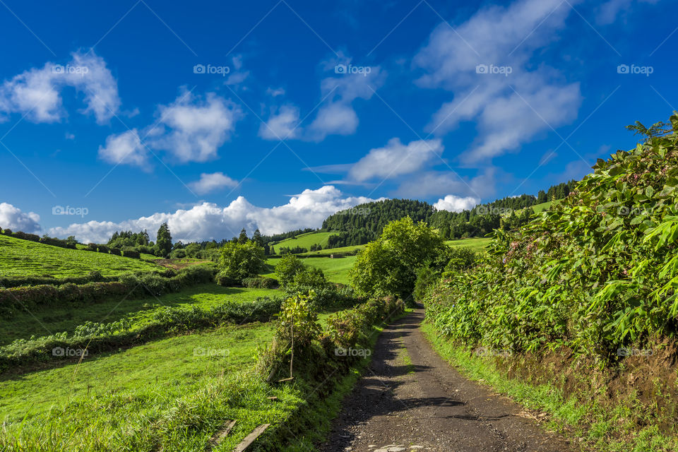 Hiking in Sao Miguel island, Azores, Portugal. Meadows and blue sky.