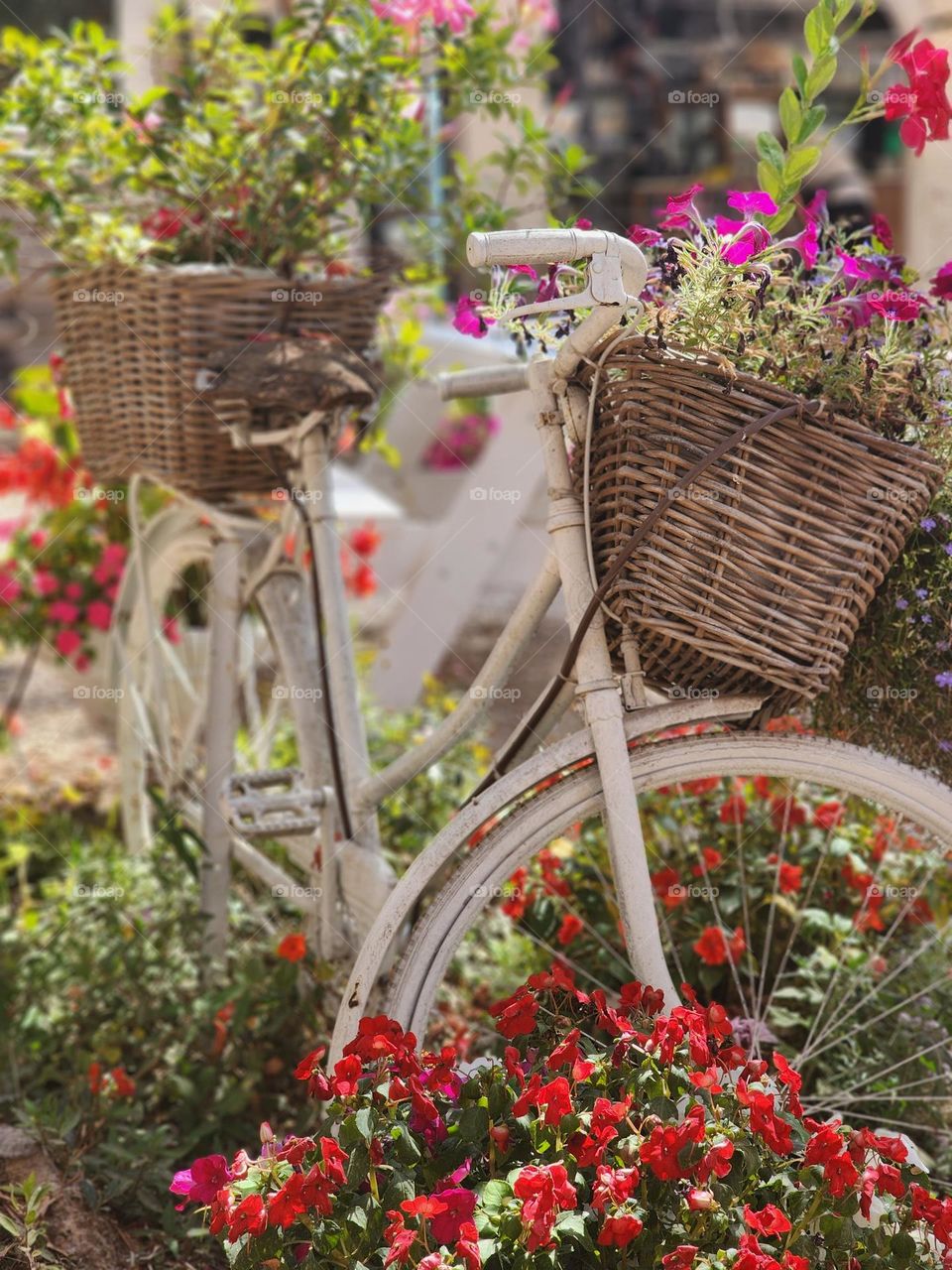 summer decorative bicycles with basket and flowers