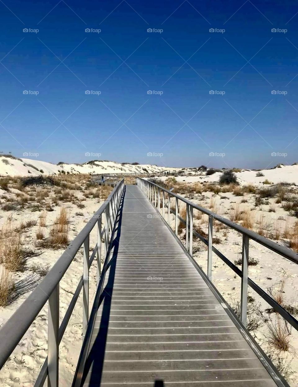 A wooden pedestrian bridge expands into the White Sands Park of Nee Mexico. Dune grass and vegetation ornament the open space. 