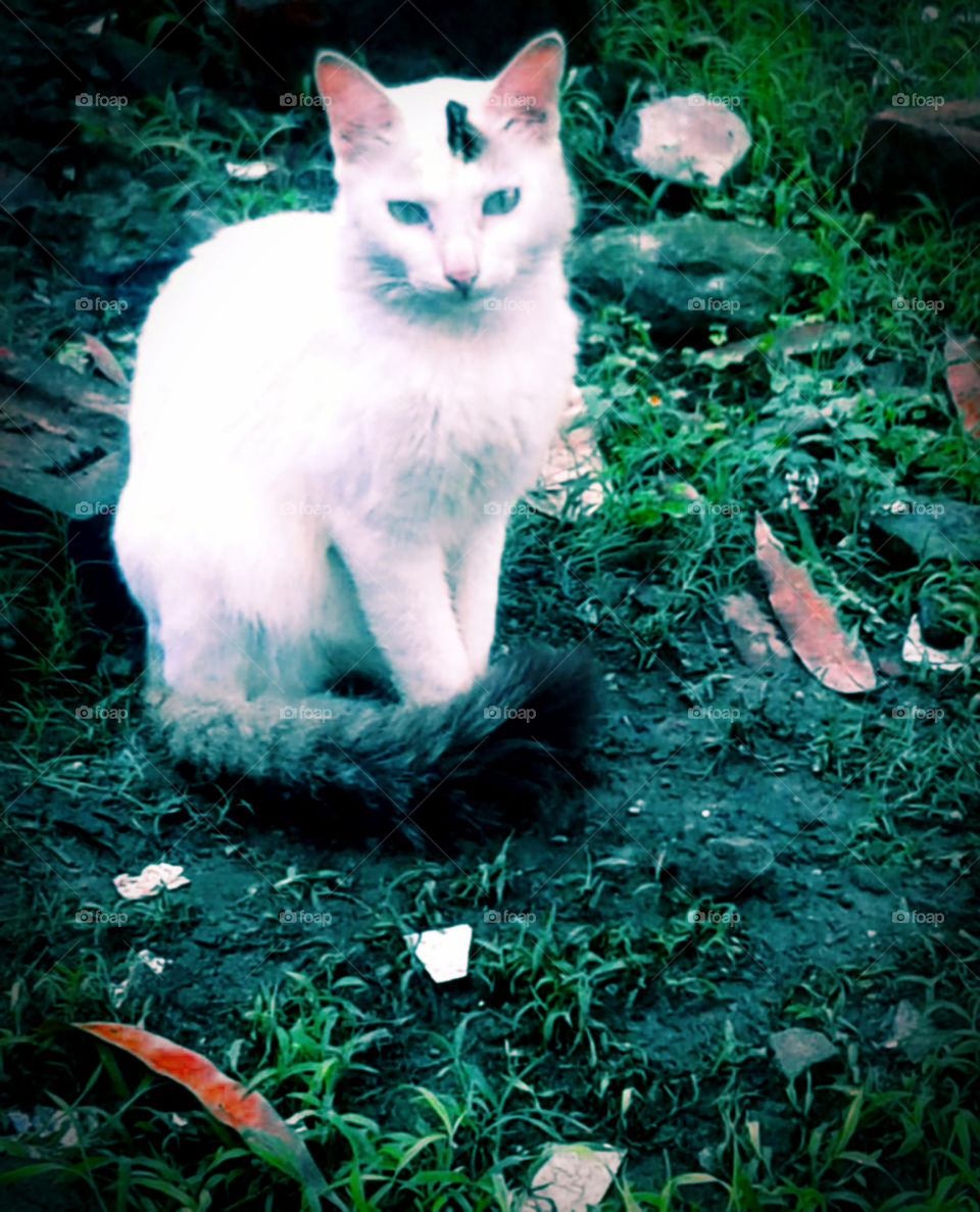 Always Ready to give pose.