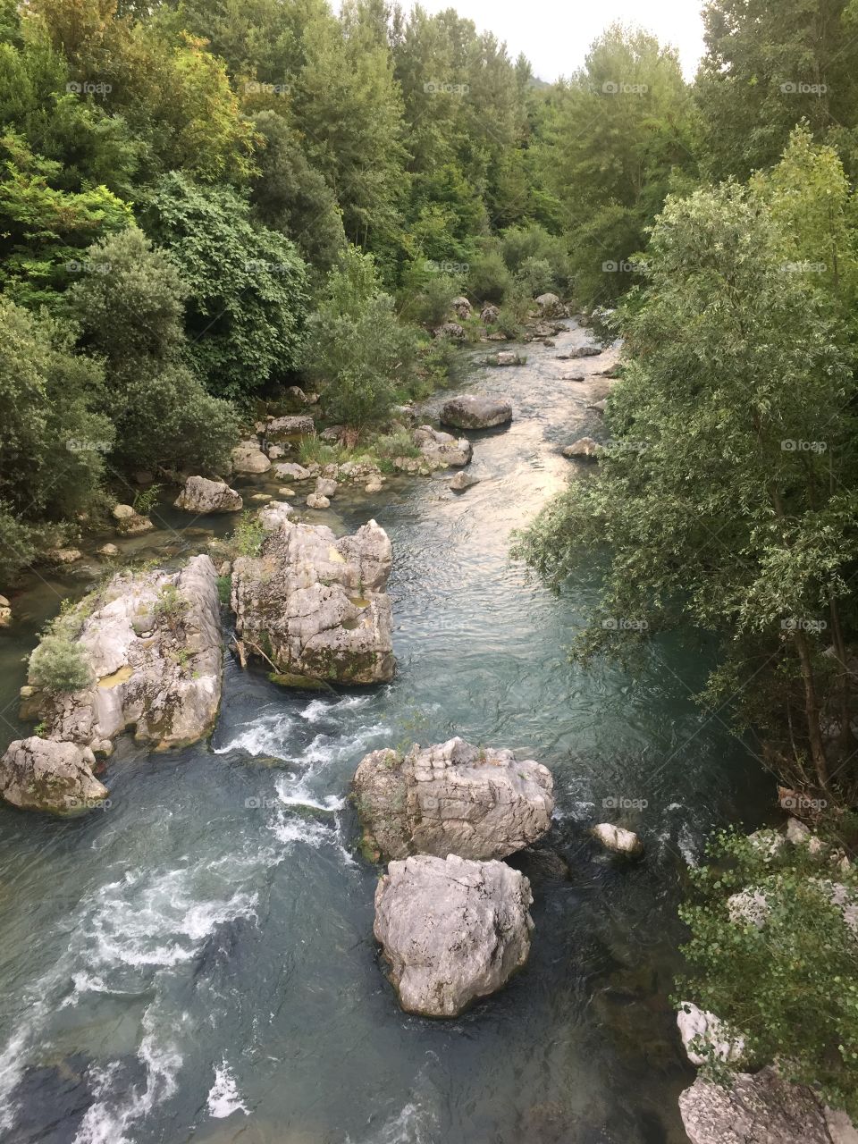 Trentino river

