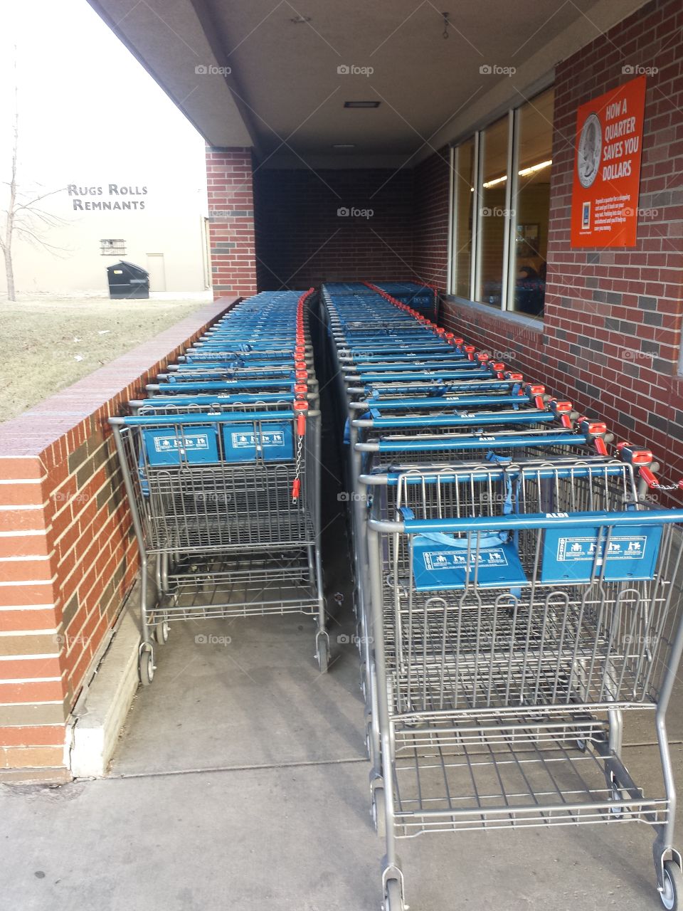 Aldi's Shopping Carts
