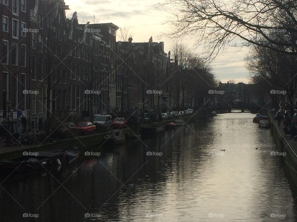 Bellissima Amsterdam 