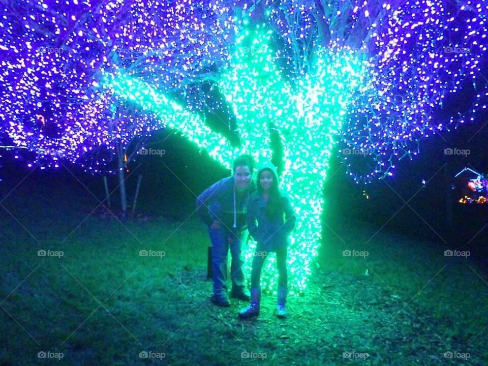 lighted tree