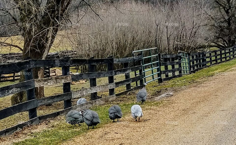 Driving the  back Roads