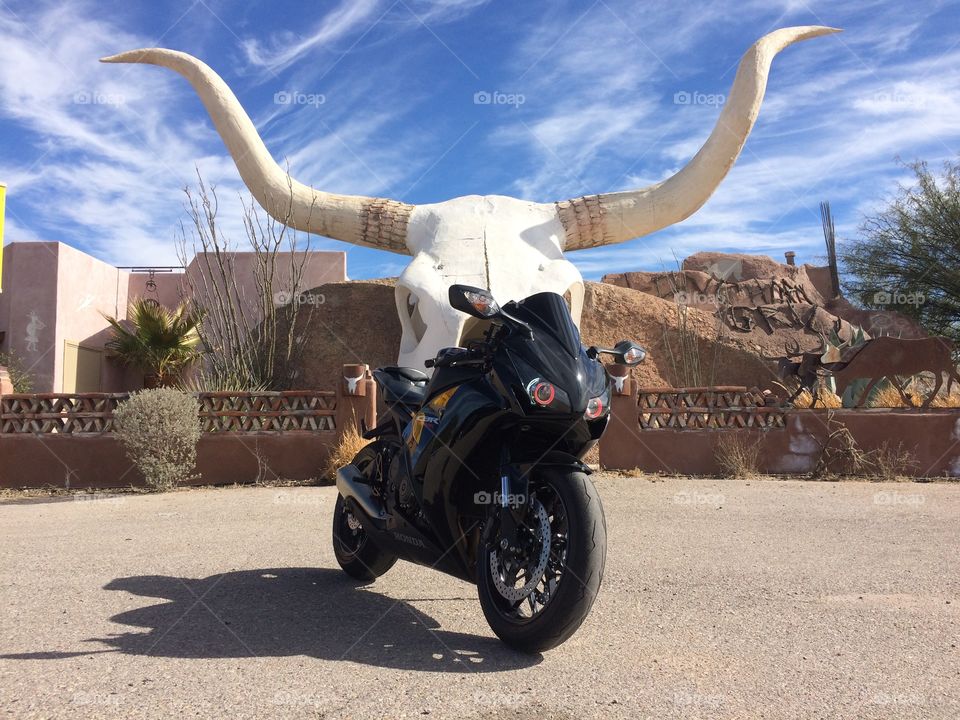 Mess with the bull and get the horns