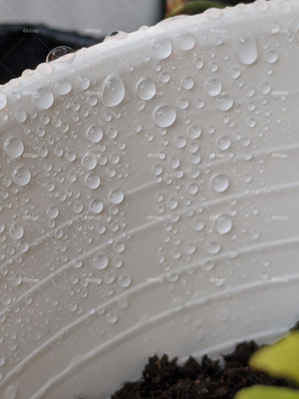 gardening in this morning