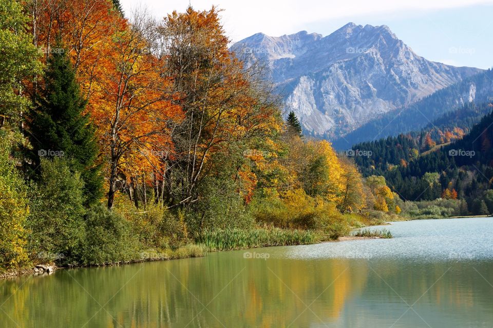 Couleurs d'automne au lac de Vallon (Alpes du Nord, France)