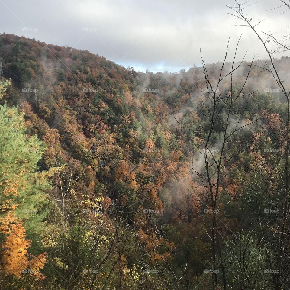 Fall in the Great Smokey Mountains, NC