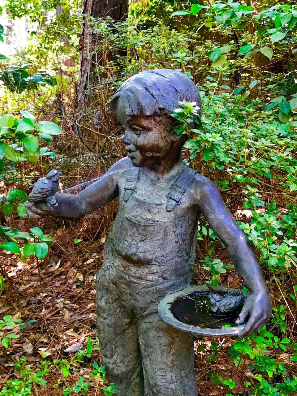 The boy and the bird statue 