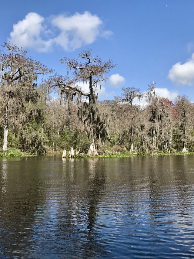Wakulla Springs Florida 