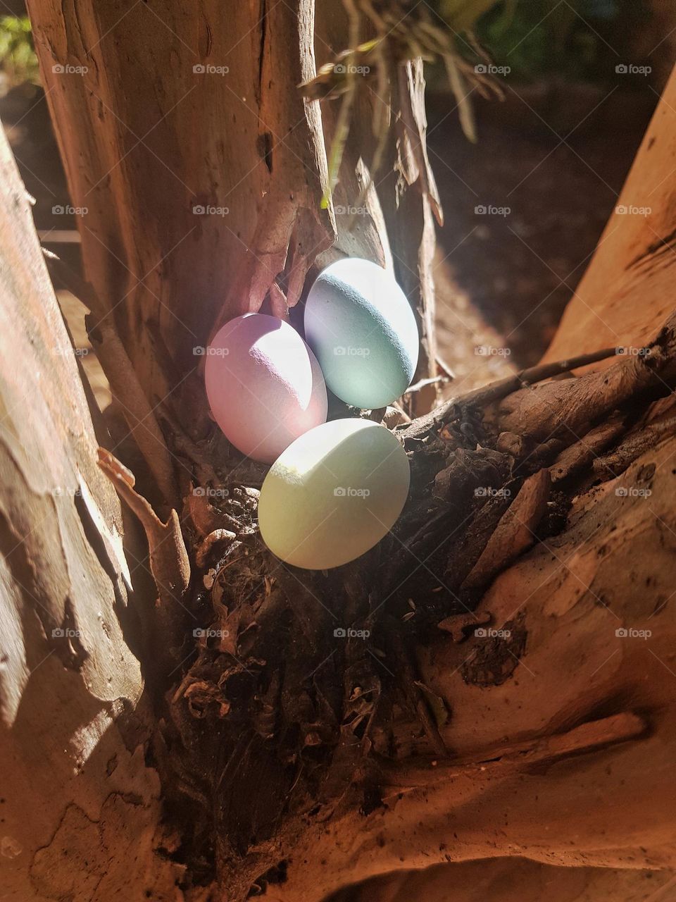 I found my Easter eggs