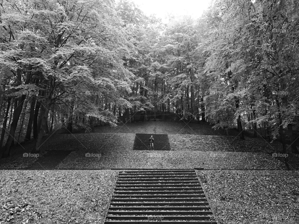 People, Tree, No Person, Monochrome, Park